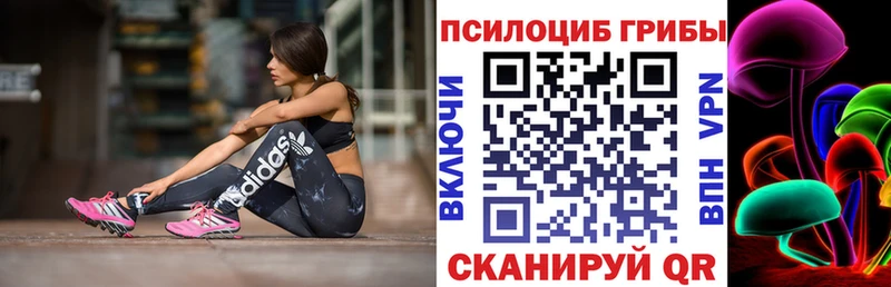 Псилоцибиновые грибы Psilocybine cubensis  Купить закладки  Междуреченск 